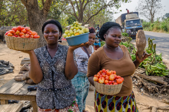 https://icitoyennes.org/site/wp-content/uploads/2024/09/AfriqueRurale-540x360.jpg