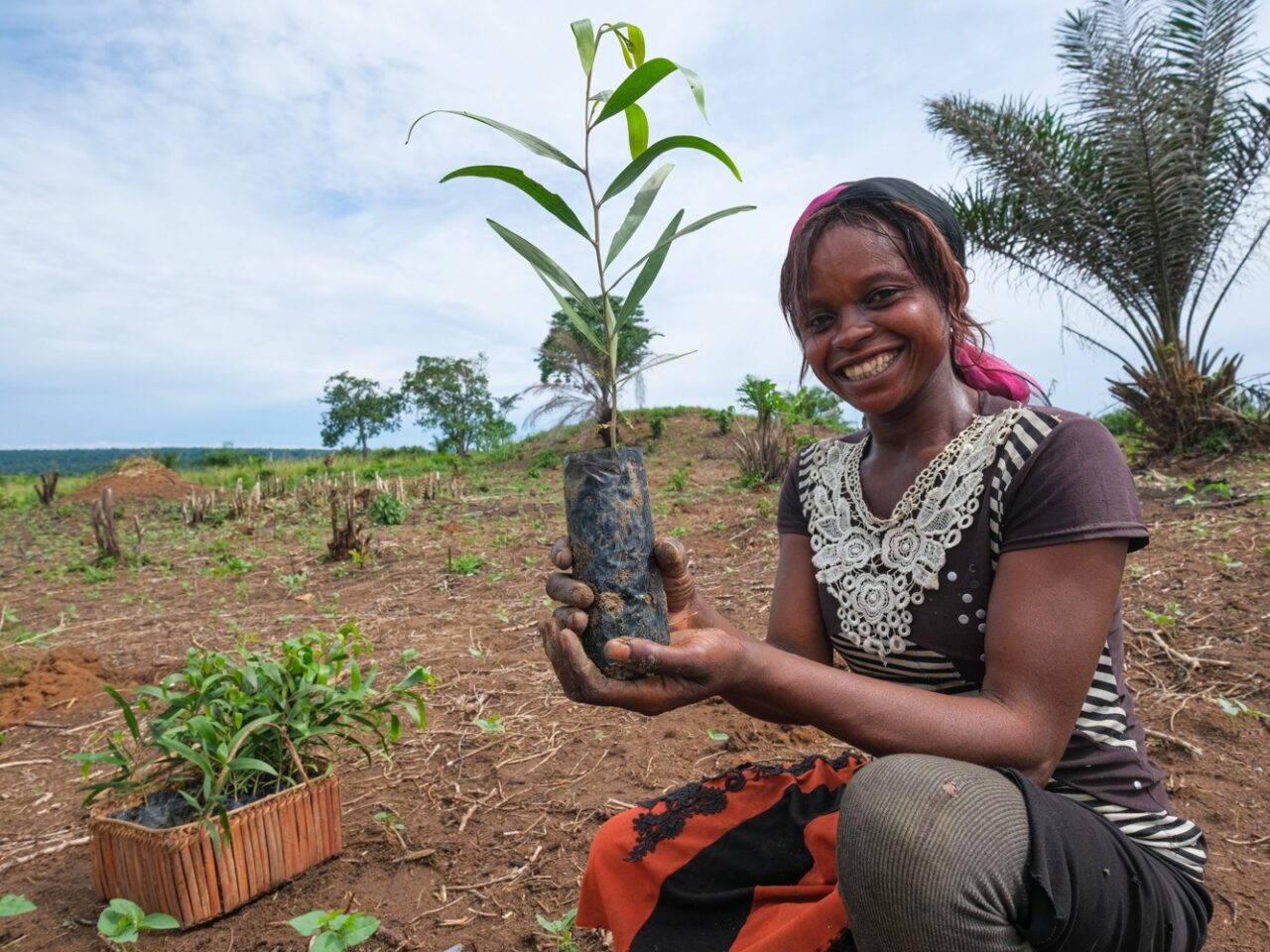 https://icitoyennes.org/site/wp-content/uploads/2024/09/Communique-de-presse-Yangambi-bre-la-plantation-dun-million-darbres-1280x960.jpg